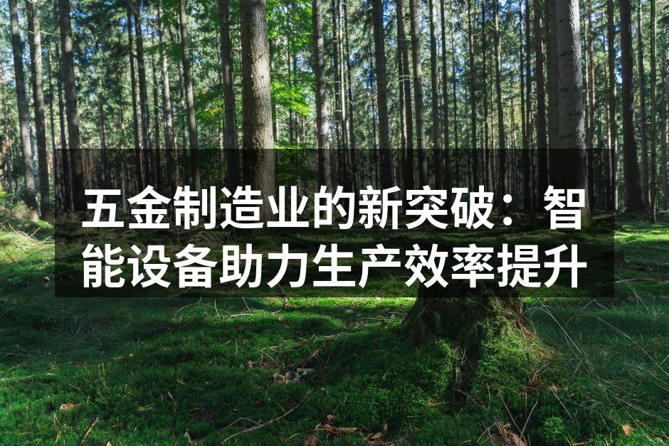 五金制造业的新突破：智能设备助力生产效率提升